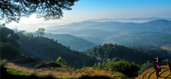 Ooty - Wayanad - Coorg Tour Package from Coimbatore