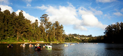 Ooty - Munnar Tour Package from Coimbatore