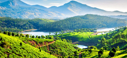 Ooty - Munnar Tour Package from Coimbatore