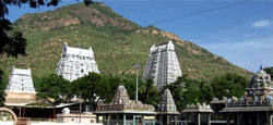 Kanchipuram - Tiruvannamalai - Chidambaram - Mahabalipuram